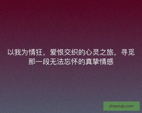 以我为情狂，爱恨交织的心灵之旅，寻觅那一段无法忘怀的真挚情感