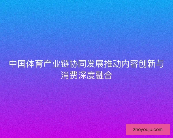 中国体育产业链协同发展推动内容创新与消费深度融合 中国体育产业链协同发展推动内容创新与消费深度融合
