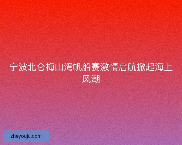 宁波北仑梅山湾帆船赛激情启航掀起海上风潮