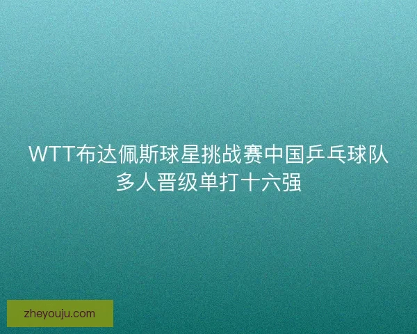 WTT布达佩斯球星挑战赛中国乒乓球队多人晋级单打十六强
